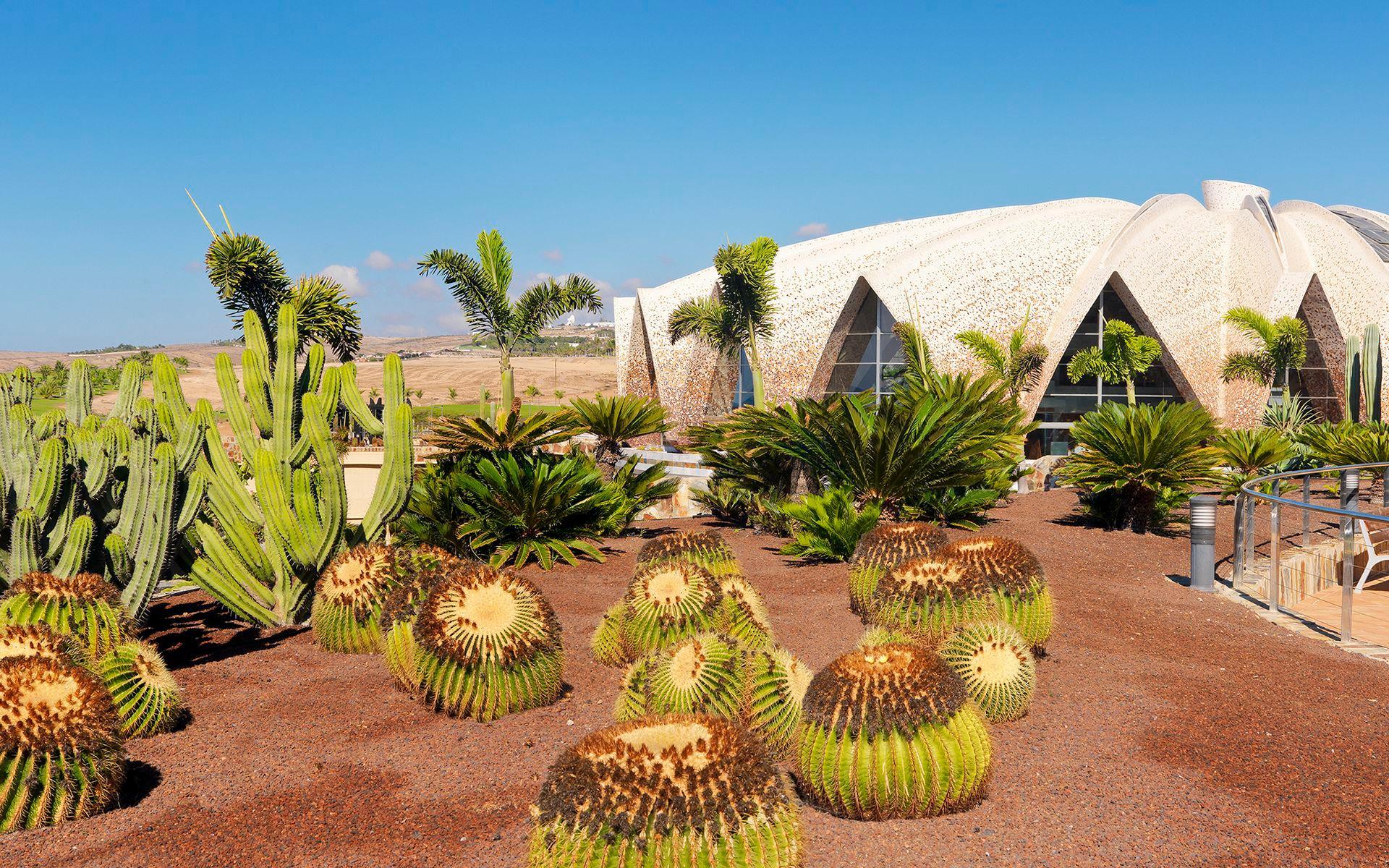 Hotel H10 Playa Meloneras Horizons Collection Esterno foto The CACTUM